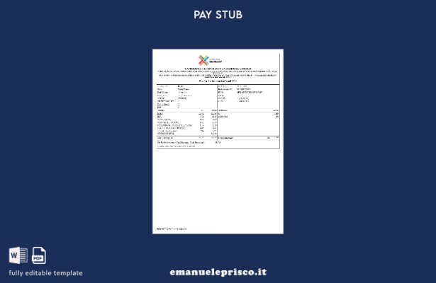 modello di busta paga Cambridge Technology Enterprises stile verificato